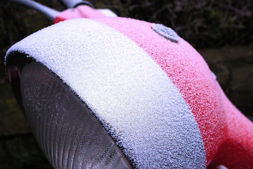 322924674_2c2d7ccf291