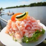 stackgronnan_CD_1[1]