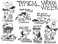 typical-work-week21